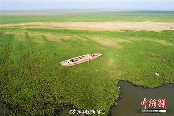 阿斯報(bào)：穆索逐漸獲得更多出場(chǎng)機(jī)會(huì)，給奧布拉克帶來(lái)競(jìng)爭(zhēng)壓力v2.6.7 官方安卓版