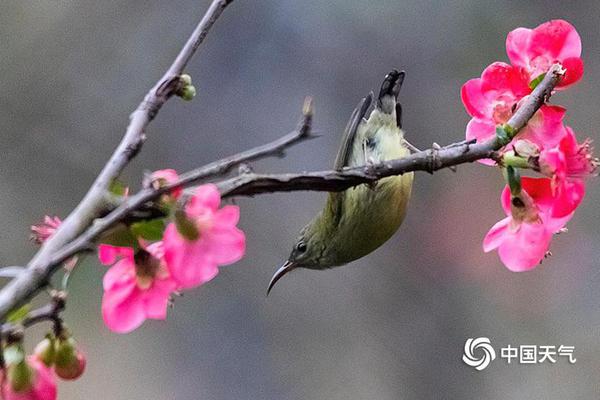科克：馬競(jìng)表現(xiàn)像過(guò)山車(chē)需要更穩(wěn)定 我年齡不是問(wèn)題狀態(tài)好就能踢